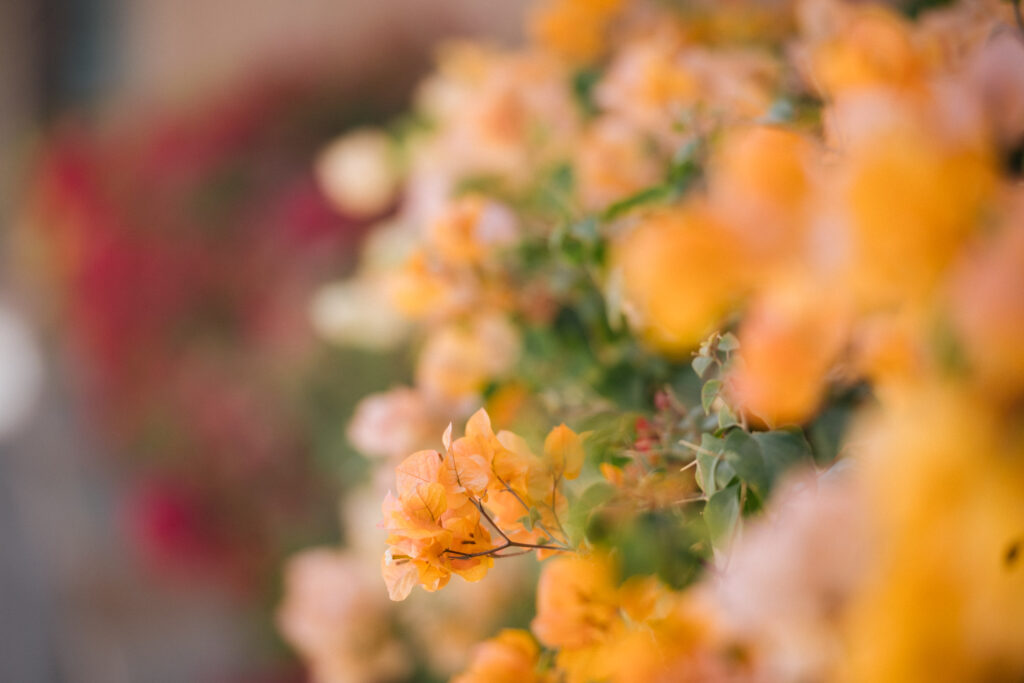 Indian wedding at Emirates Palace Abu Dhabi